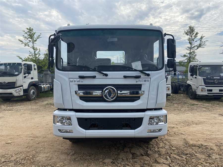 東風(fēng)D9（3950，康明斯230）國(guó)六 內(nèi)飾照片圖