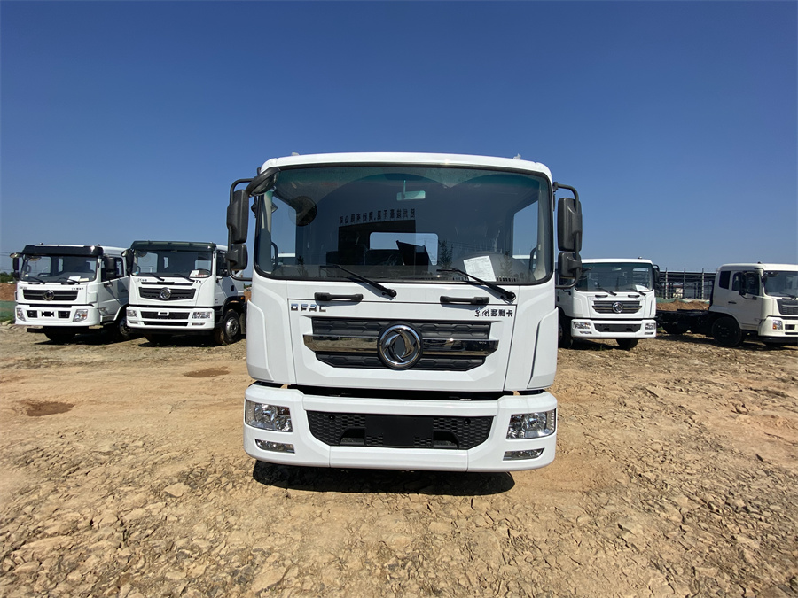 東風(fēng)D9（3950，玉柴165）國(guó)六 內(nèi)飾照片圖