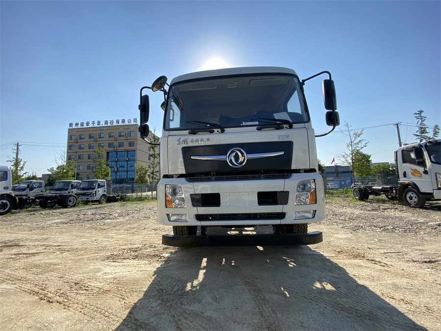 東風(fēng)D3V（后雙橋，康明斯260）國(guó)六 內(nèi)飾照片圖