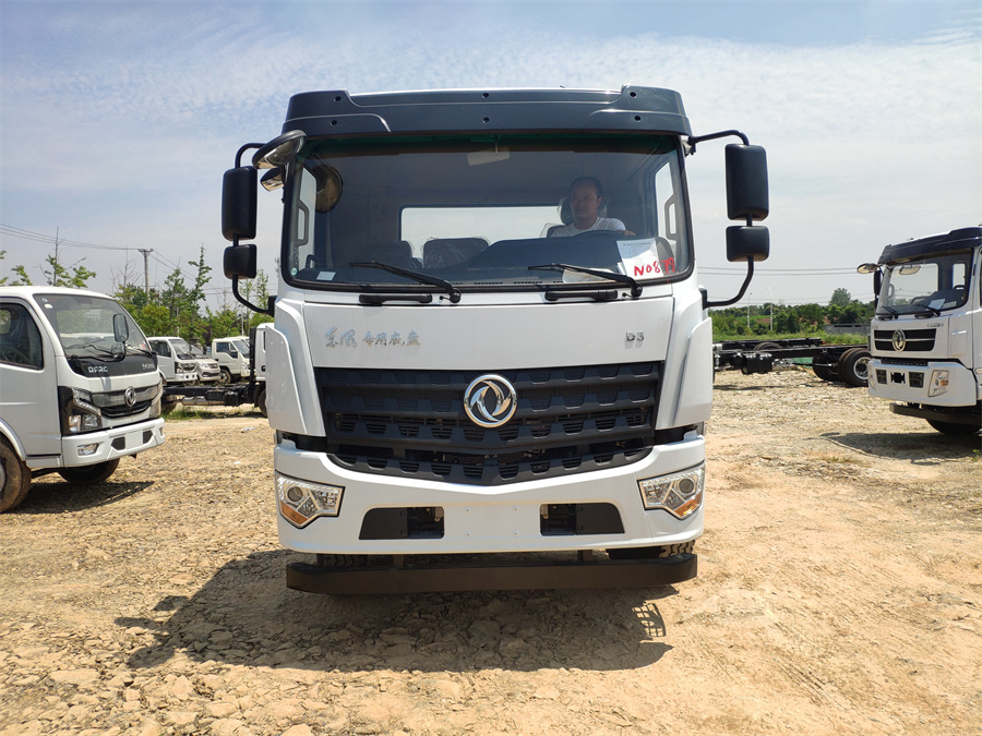 東風(fēng)D3（后雙橋，玉柴245）國(guó)六 內(nèi)飾照片圖