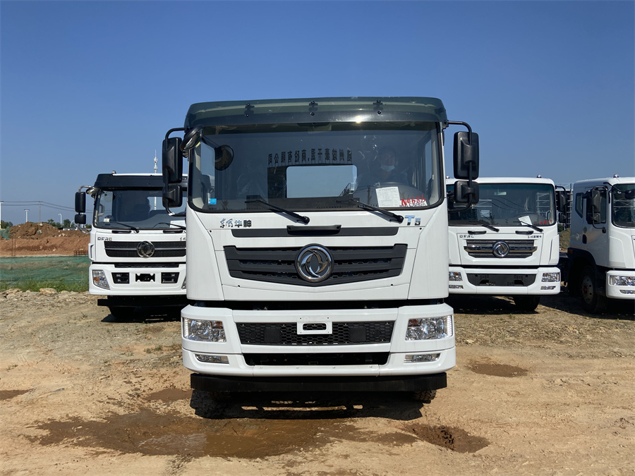 東風(fēng)T5（后雙橋，玉柴260）國(guó)六 內(nèi)飾照片圖